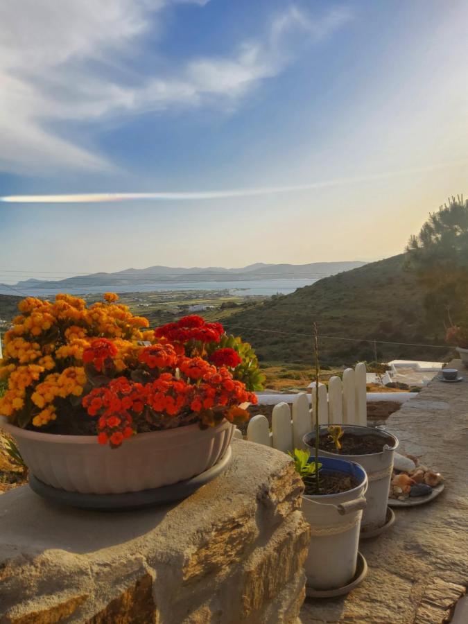 Moni Christou Dasous Romantic Sunset Cycladic House In Sotires מראה חיצוני תמונה