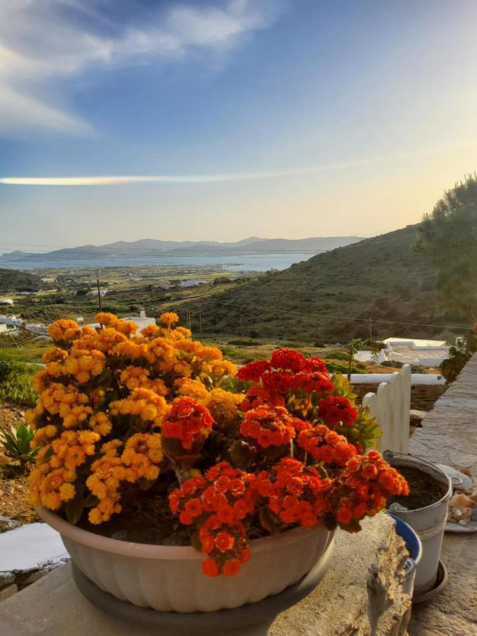 Moni Christou Dasous Romantic Sunset Cycladic House In Sotires מראה חיצוני תמונה